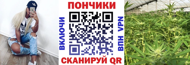 Купить где  Фрязино  Бошки Шишки сатива 